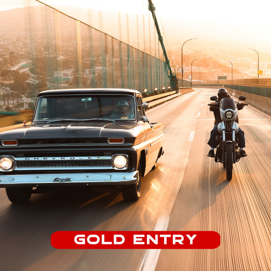 GOLD ENTRY - 10 Entries = $100