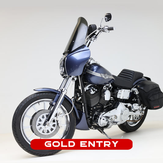 GOLD ENTRY - 10 Entries = $100