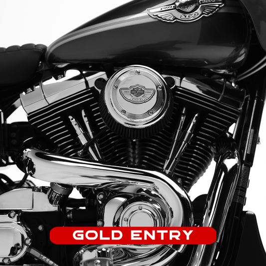 GOLD ENTRY - 10 Entries = $100